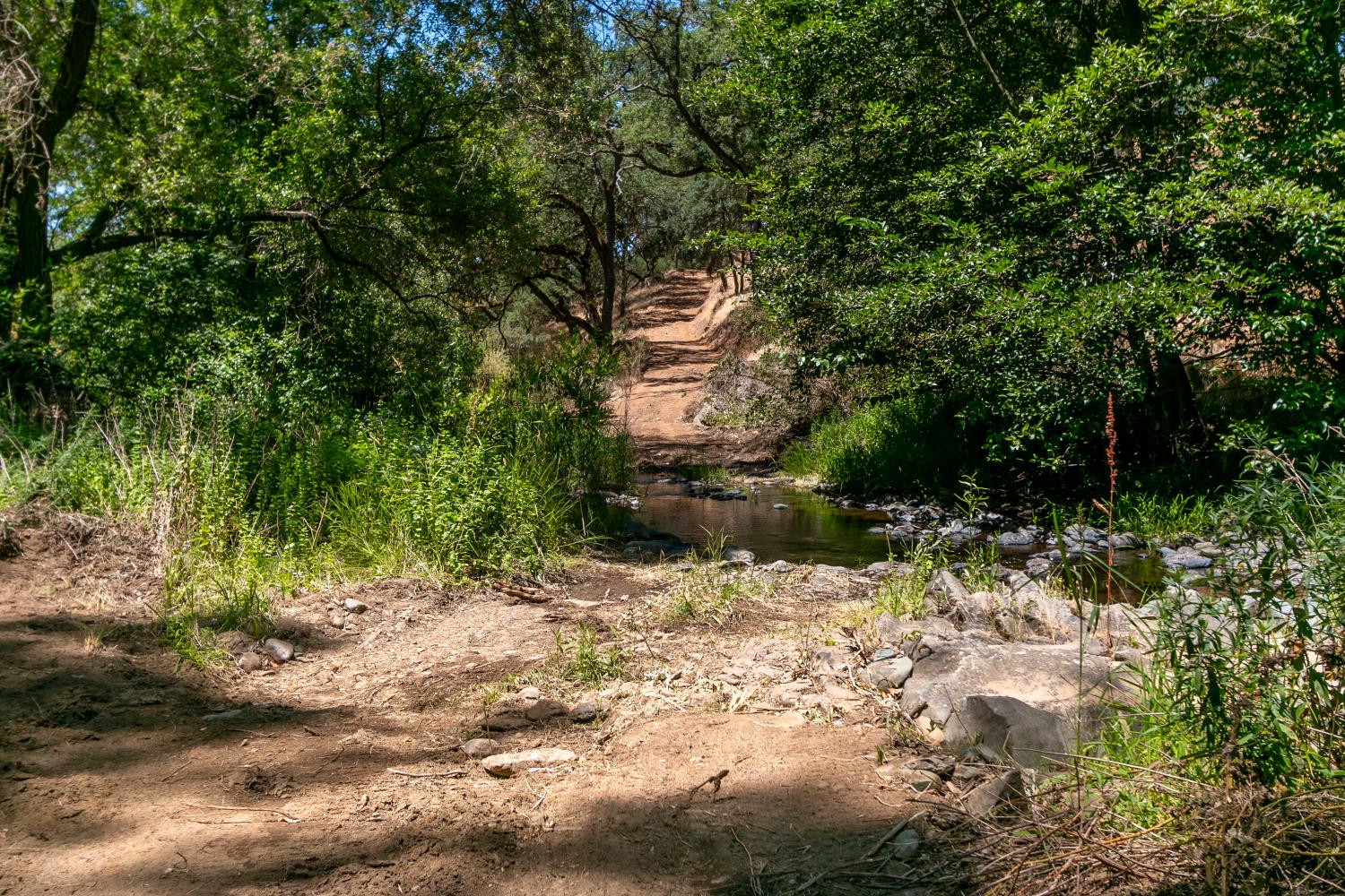 0 Stony Creek Road Ione, CA 95640 - Photo 9 of 70