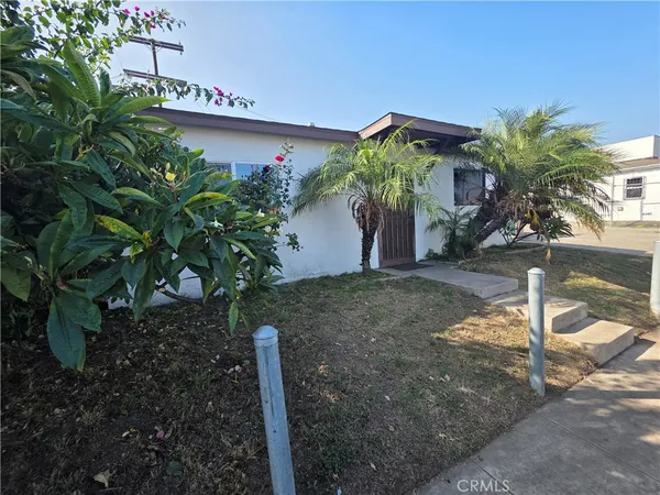 a backyard with potted plants