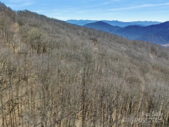 a view of a backyard with pathway