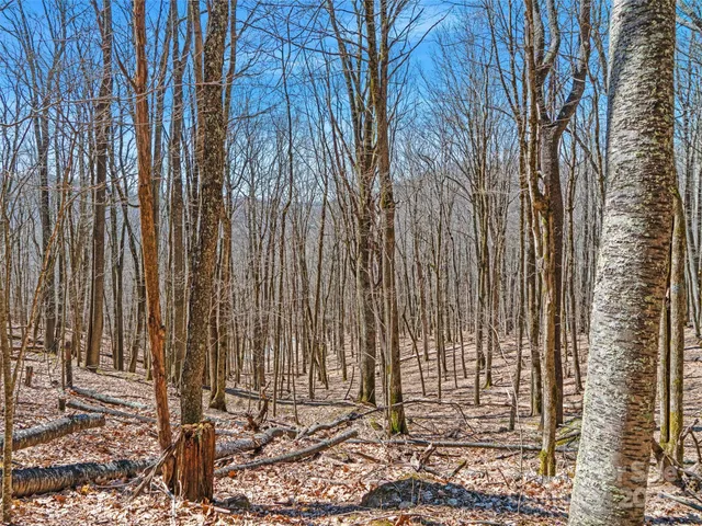 a view of a dry field