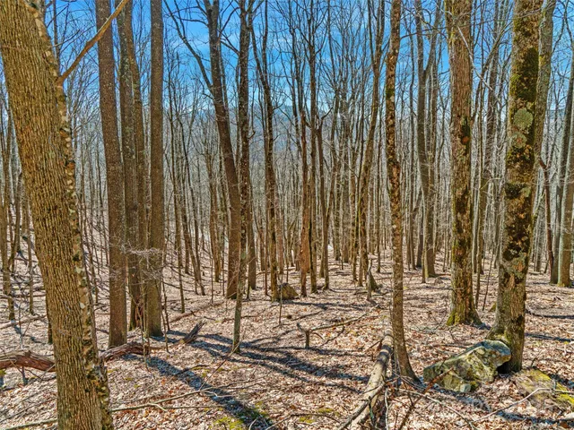 $10,900 | 0 Tearshirt Lane, Unit 308/309, Mars Hill, NC 28754