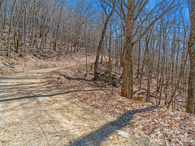 a view of a yard with trees