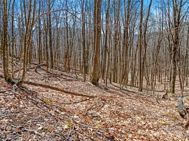 a view of a backyard with pathway