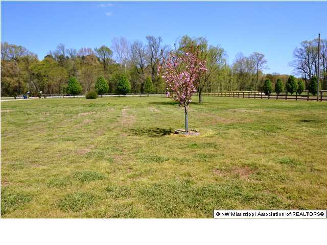 1650 Victoria Road Byhalia, MS 38611 - Photo 19 of 23 Additional Photo