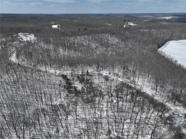 $279,900 | 0 Bcr 710, Zalma, MO 63787