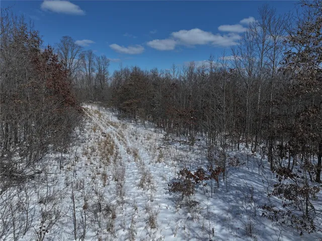 $279,900 | 0 Bcr 710, Zalma, MO 63787