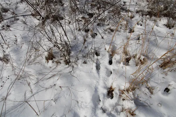 $279,900 | 0 Bcr 710, Zalma, MO 63787