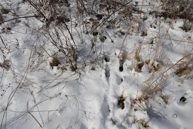 $279,900 | 0 Bcr 710, Zalma, MO 63787