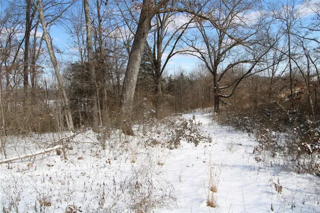 $279,900 | 0 Bcr 710, Zalma, MO 63787