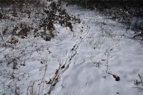 $279,900 | 0 Bcr 710, Zalma, MO 63787