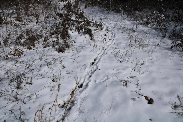 $279,900 | 0 Bcr 710, Zalma, MO 63787