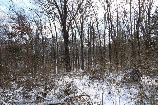 $279,900 | 0 Bcr 710, Zalma, MO 63787