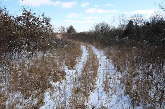 $279,900 | 0 Bcr 710, Zalma, MO 63787