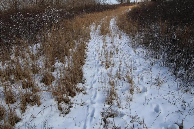 $279,900 | 0 Bcr 710, Zalma, MO 63787