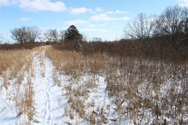 $279,900 | 0 Bcr 710, Zalma, MO 63787