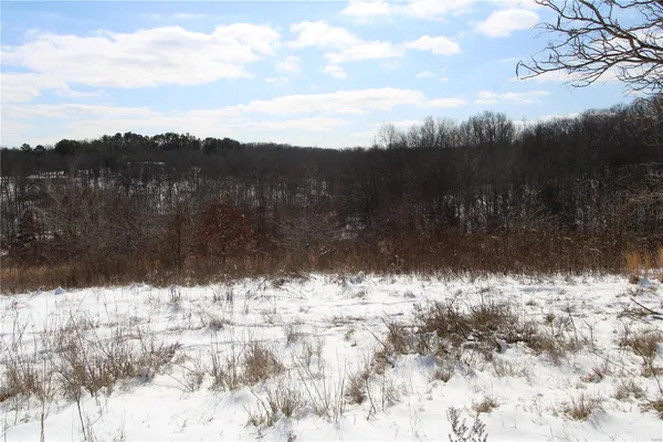 $279,900 | 0 Bcr 710, Zalma, MO 63787