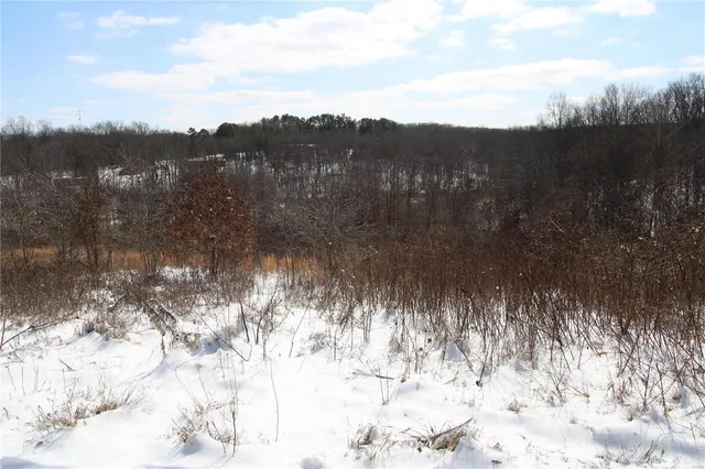 $279,900 | 0 Bcr 710, Zalma, MO 63787