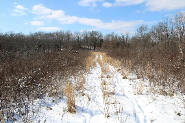 $279,900 | 0 Bcr 710, Zalma, MO 63787