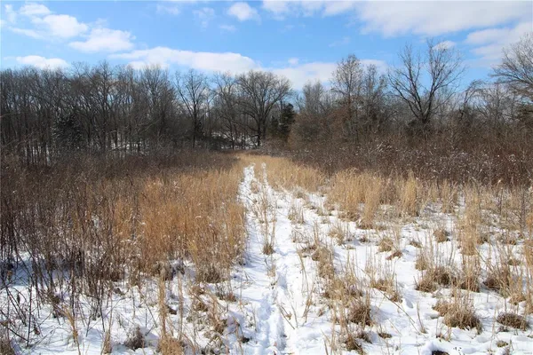 $279,900 | 0 Bcr 710, Zalma, MO 63787