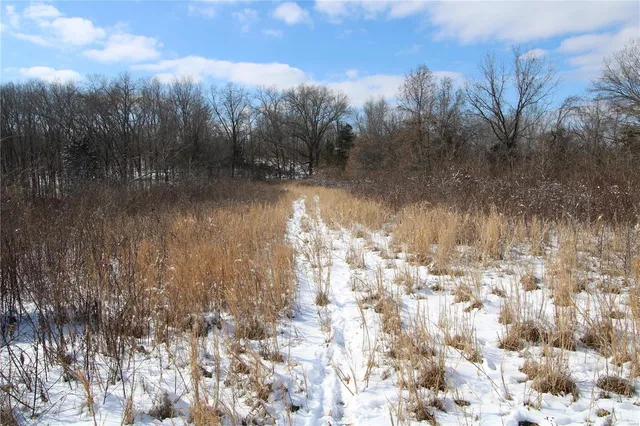 $279,900 | 0 Bcr 710, Zalma, MO 63787