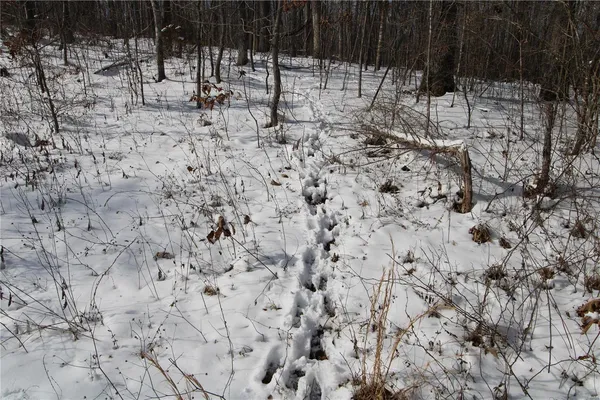 $279,900 | 0 Bcr 710, Zalma, MO 63787