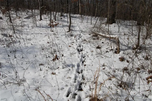 $279,900 | 0 Bcr 710, Zalma, MO 63787