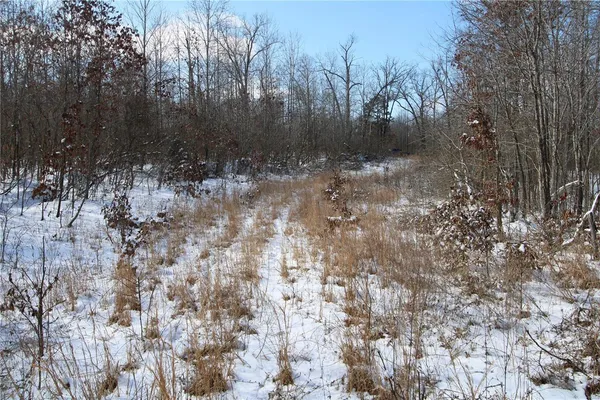 $279,900 | 0 Bcr 710, Zalma, MO 63787