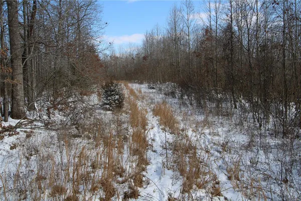 $279,900 | 0 Bcr 710, Zalma, MO 63787