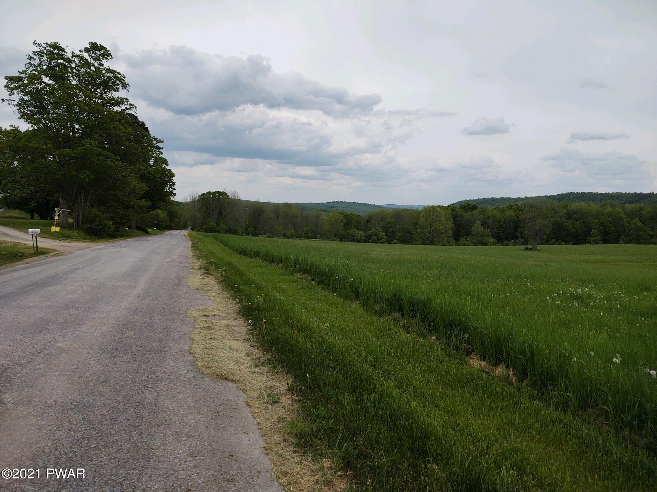 Joslyn Road Guilford, NY 13780 - Photo 4 of 11