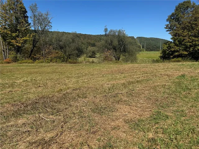 $85,000 | Rt-357, Franklin, NY 13775