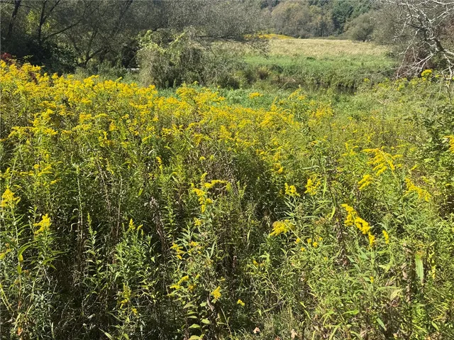 $85,000 | Rt-357, Franklin, NY 13775