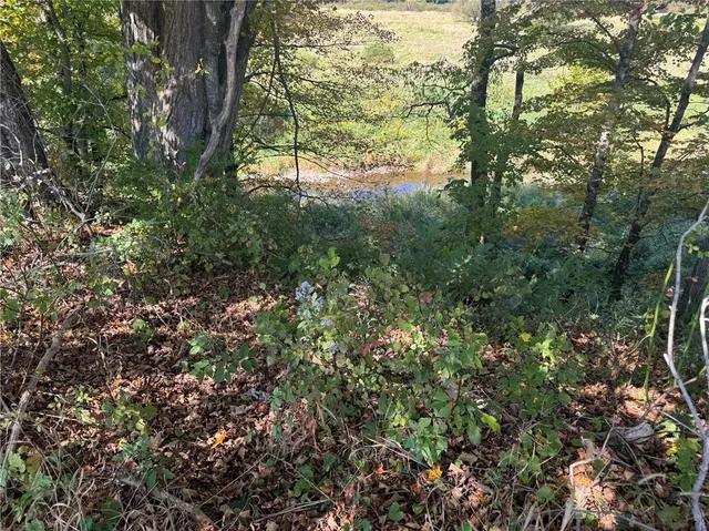 $85,000 | Rt-357, Franklin, NY 13775