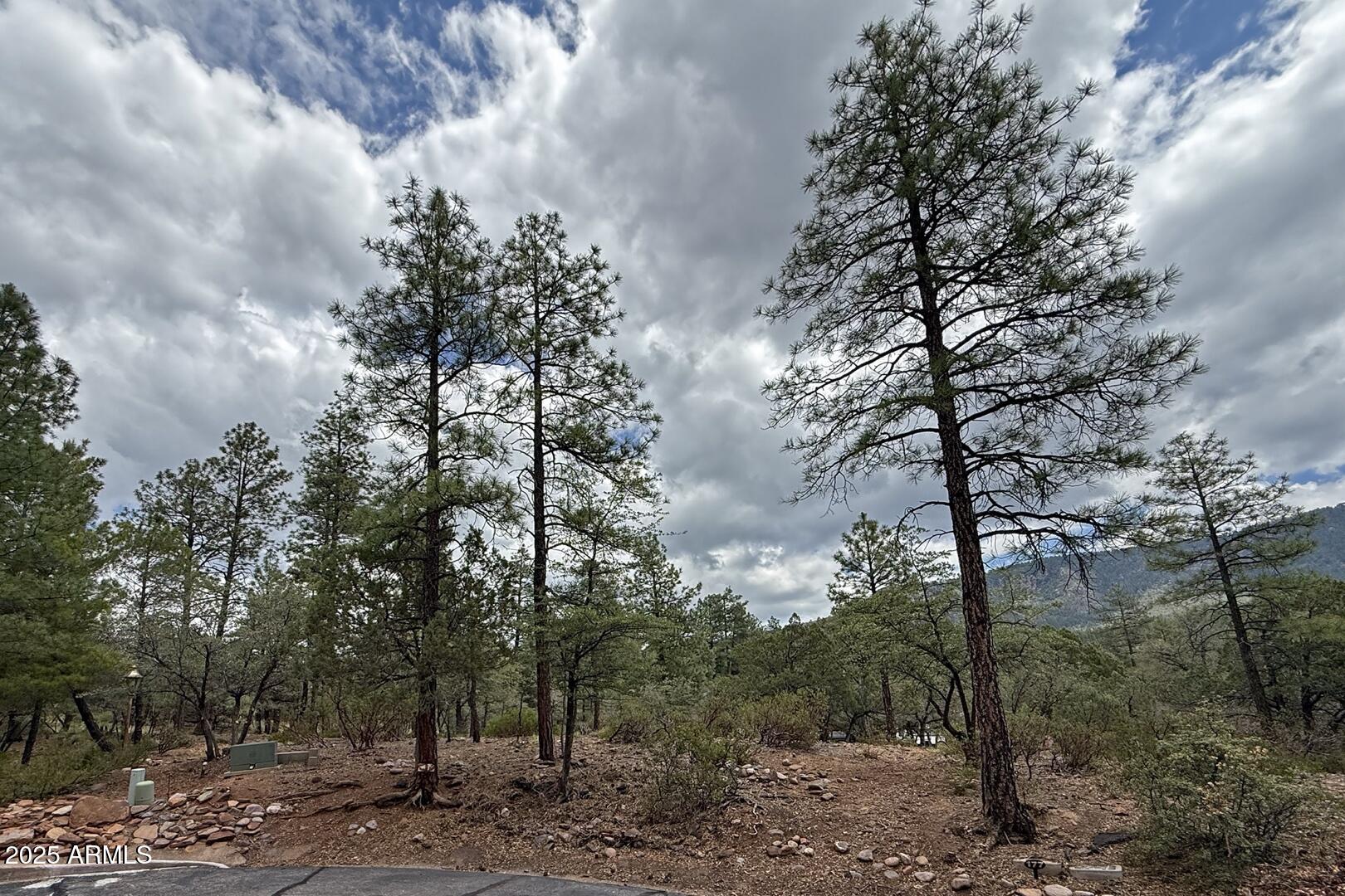 5838 Arroyo Way Pine, AZ 85544 - Photo 34 of 53 a view of a forest
