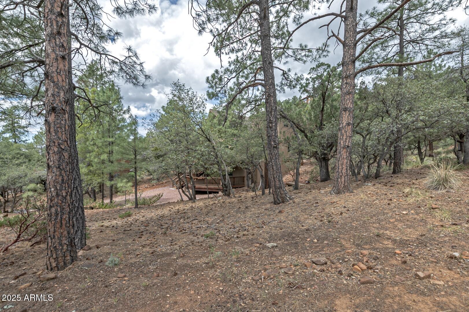 5838 Arroyo Way Pine, AZ 85544 - Photo 47 of 53 a view of a forest filled with trees