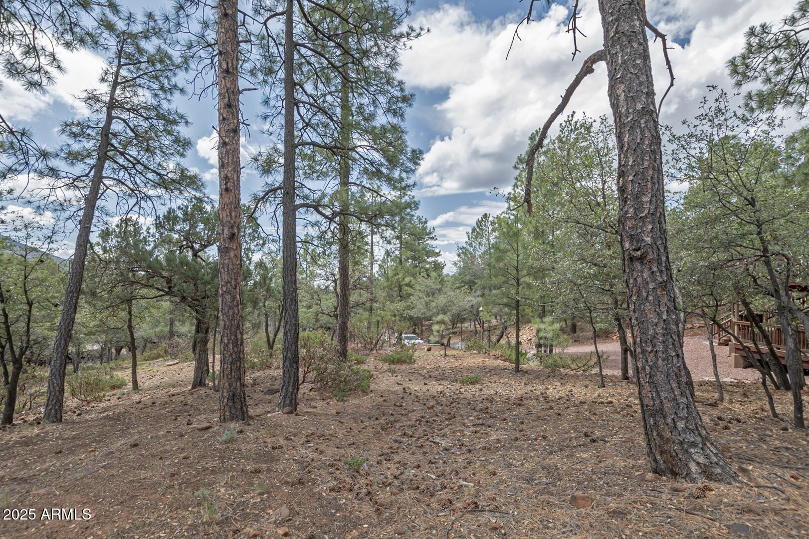 5838 Arroyo Way Pine, AZ 85544 - Photo 49 of 53 a view of a forest with trees in the background