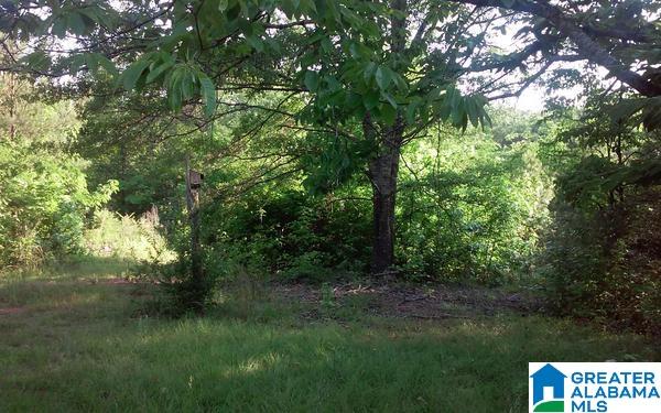 82 County Road, Unit 18 Wedowee, AL 36278 - Photo 10 of 12