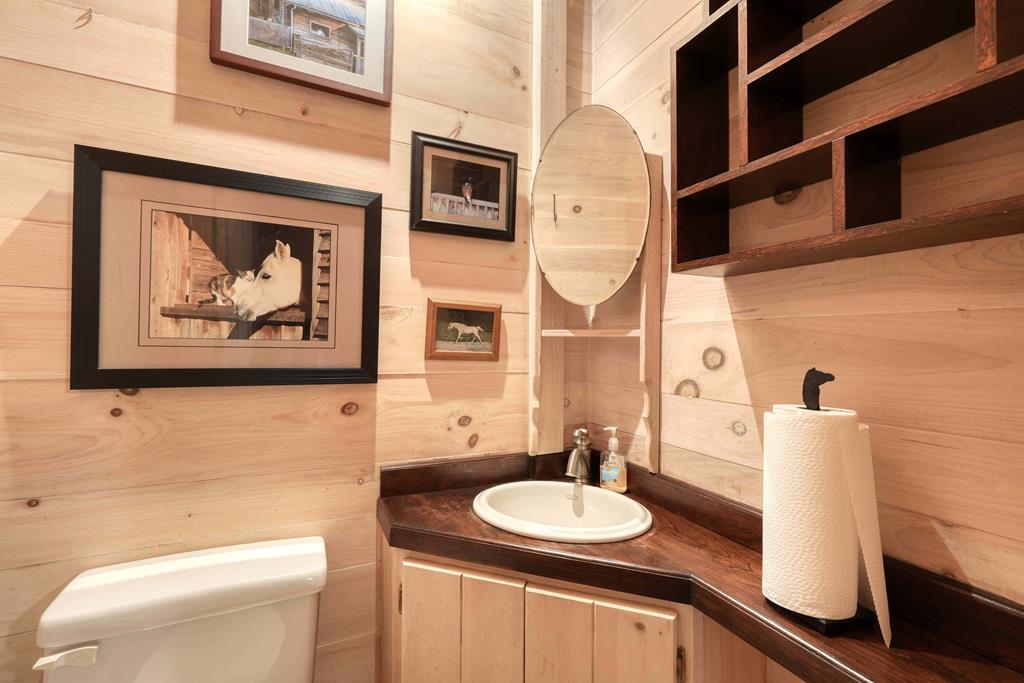 2350 Dial Road Blue Ridge, GA 30513 - Photo 19 of 76 a bathroom with a toilet a sink and a mirror