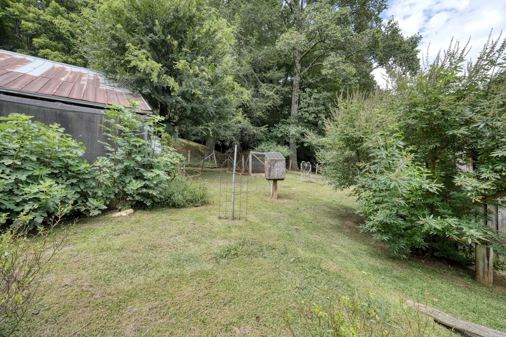 2350 Dial Road Blue Ridge, GA 30513 - Photo 50 of 76 a view of backyard with green space