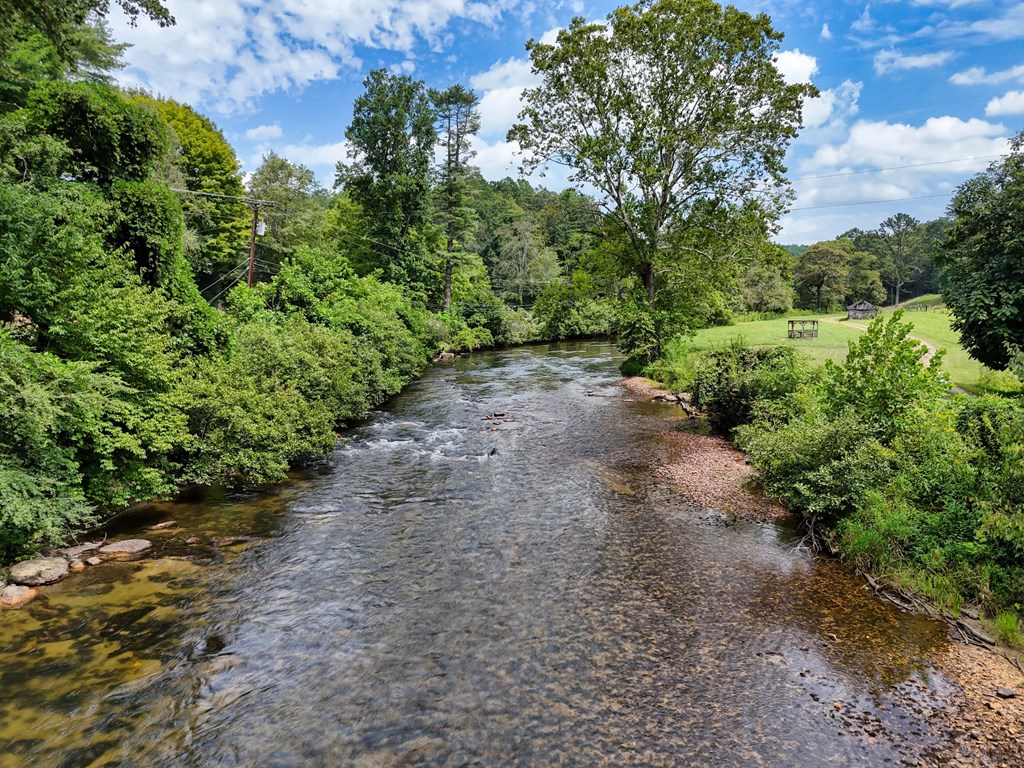 2350 Dial Road Blue Ridge, GA 30513 - Photo 75 of 76 a view of a dirt pathway both side of yard
