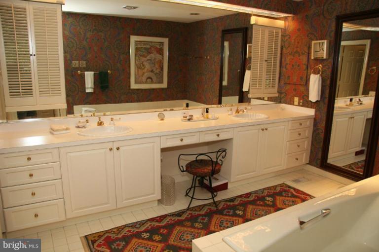 2429 Still Forest Road Pikesville, MD 21208 - Photo 5 of 26 Master Bath