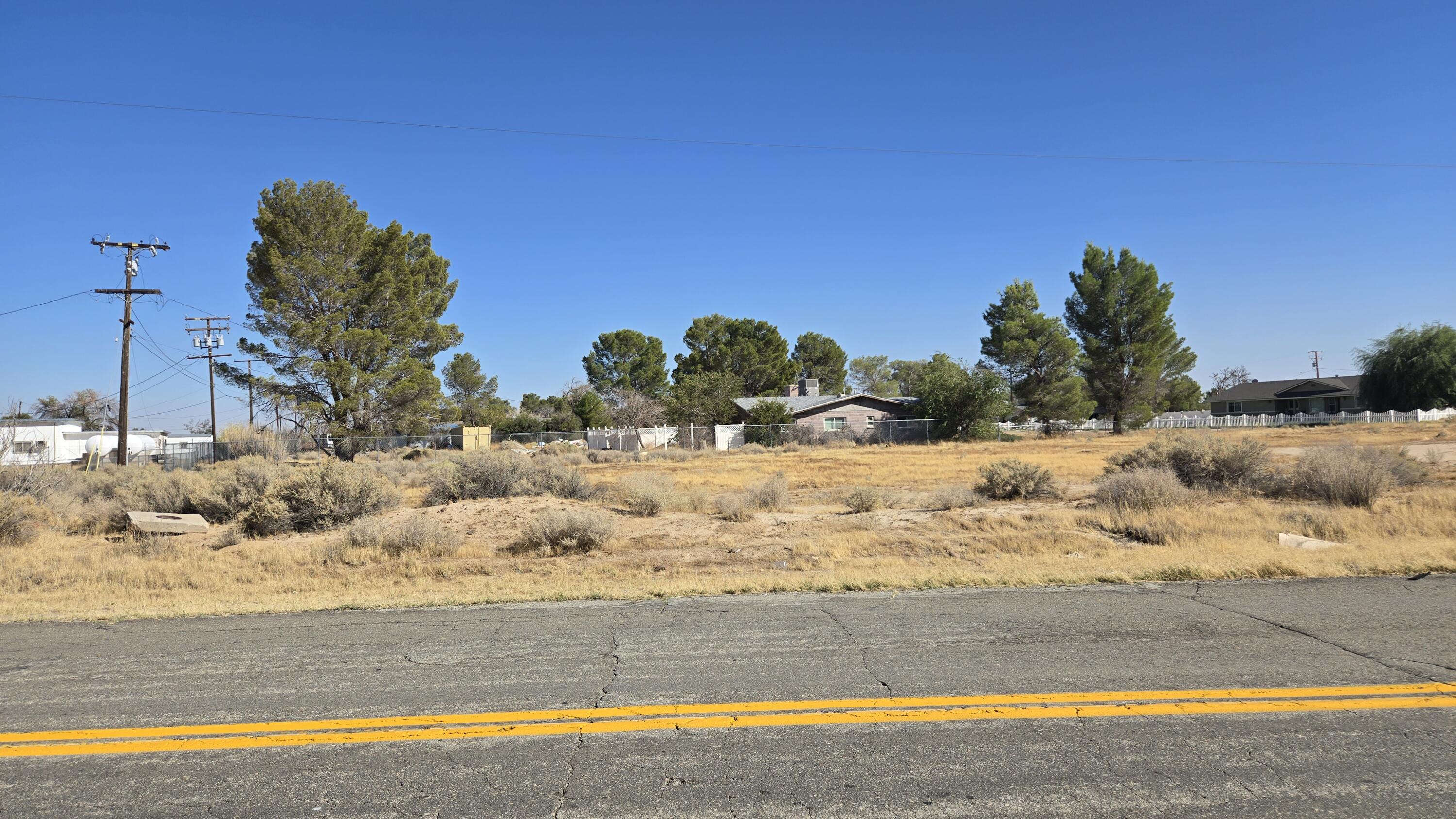 Alexander Avenue Edwards, CA 93523 - Photo 20 of 22 a view of a yard with trees