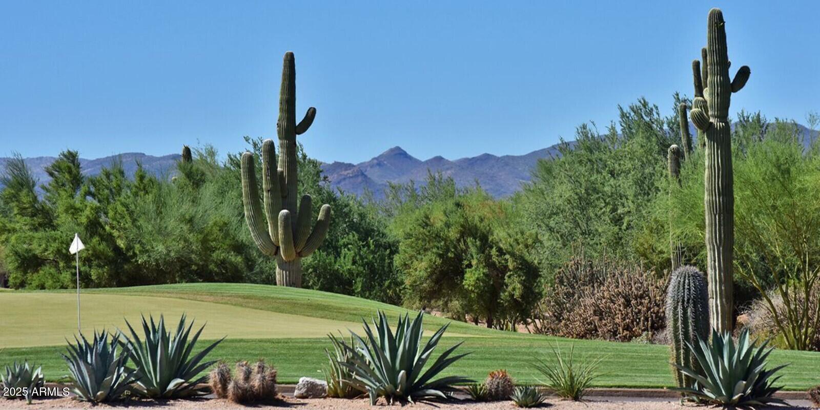 27502 North Azatlan Drive Rio Verde, AZ 85263 - Photo 20 of 21 a view of a yard with an outdoor space and deck