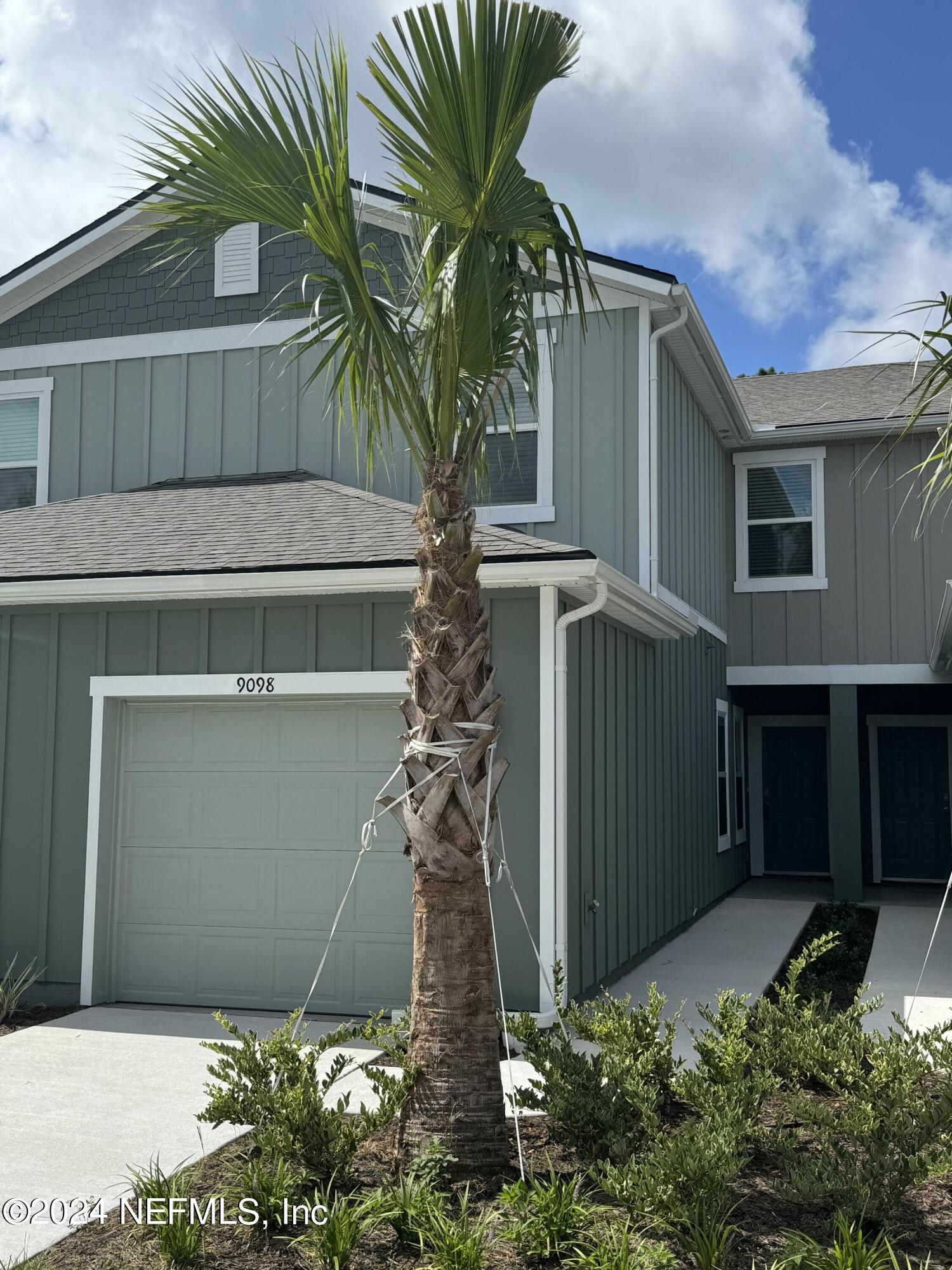 9098 Alpine Aster Jacksonville  