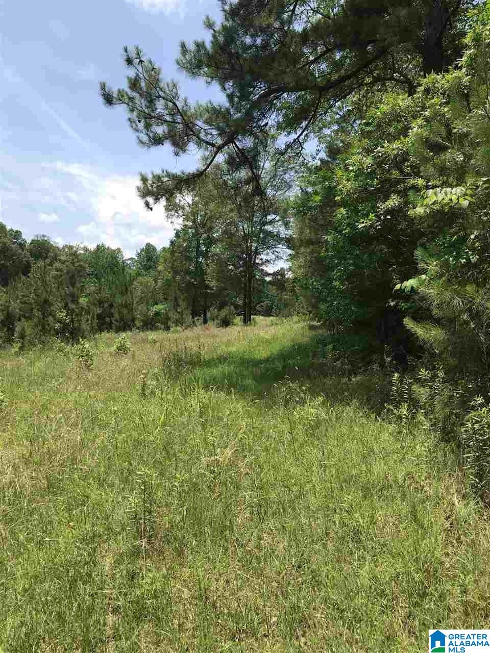 0 Highway 59 Vincent, AL 35178 - Photo 10 of 10