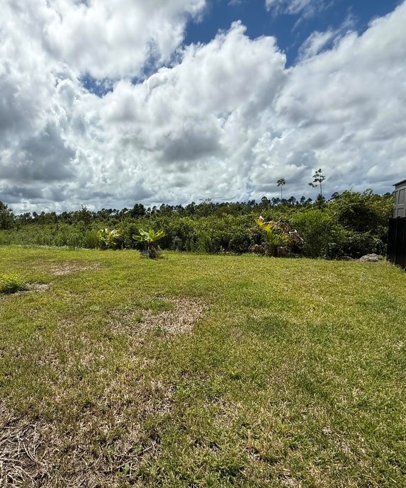 136 Torres Trace St. Augustine, FL 32095 - Photo 20 of 24
