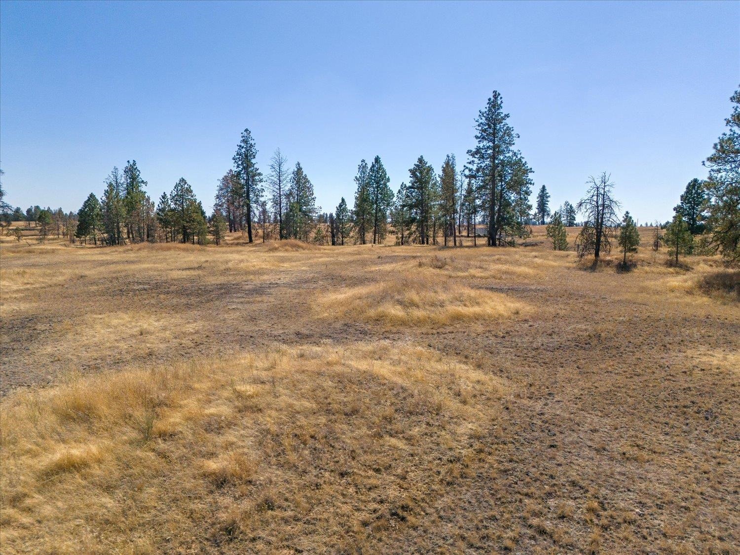 36377 South Bootstrap Lane Cheney, WA 99004 - Photo 4 of 10