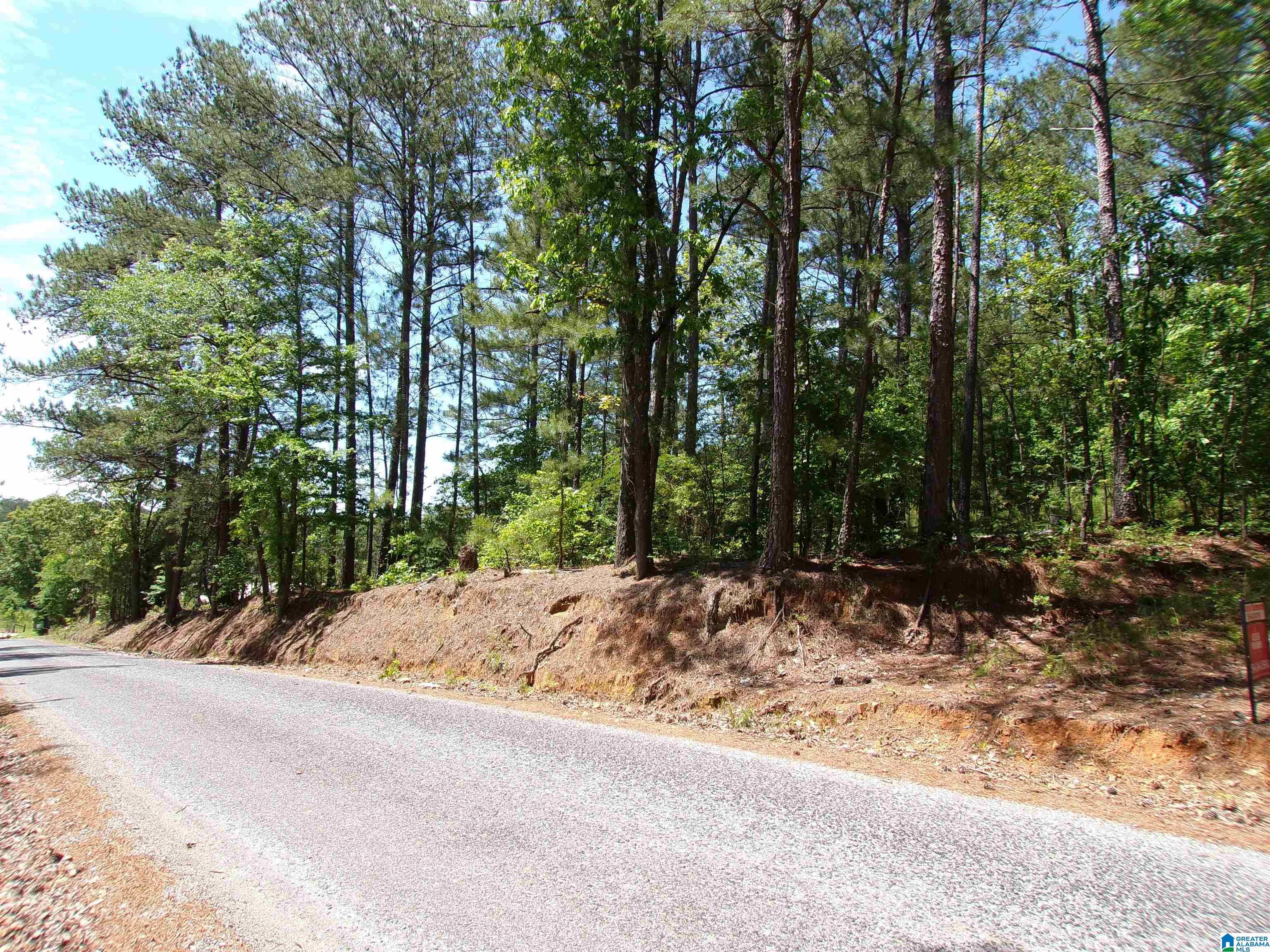 1 St Mary Road South, Unit 1 Lincoln, AL 35096 - Photo 1 of 23
