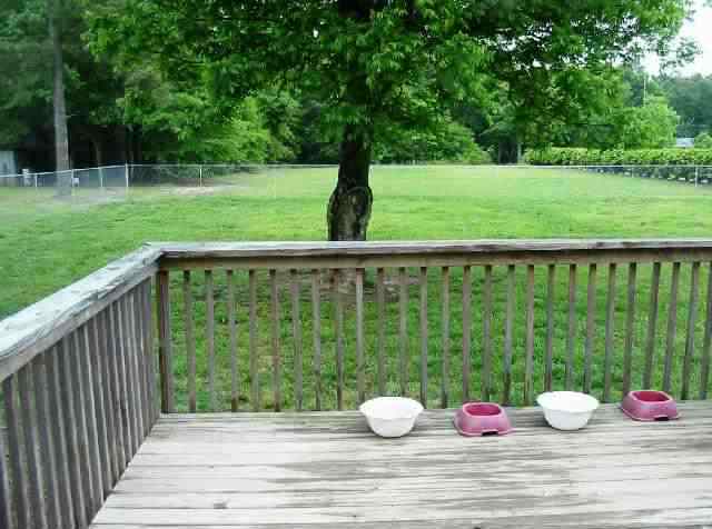 620 Hayes Road Starr, SC 29684 - Photo 9 of 9