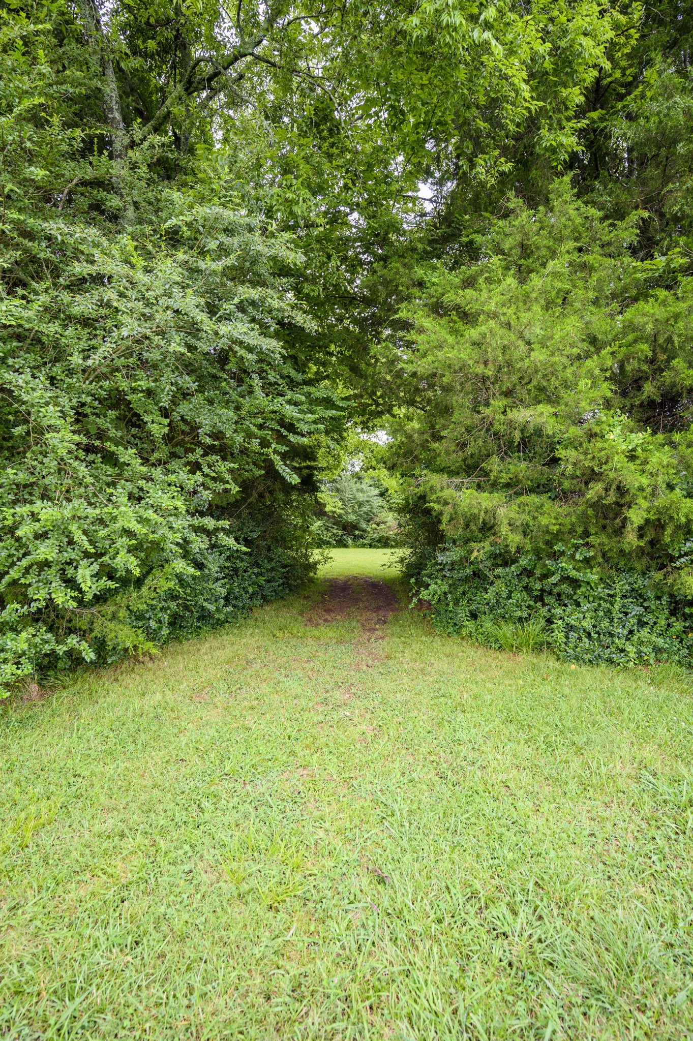 1977 Armstrong Valley Road Murfreesboro, TN 37128 - Photo 12 of 33 Gallery Image 12