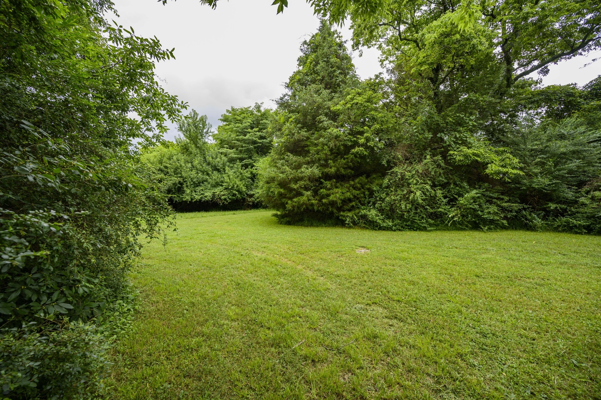 1977 Armstrong Valley Road Murfreesboro, TN 37128 - Photo 13 of 33 Gallery Image 13